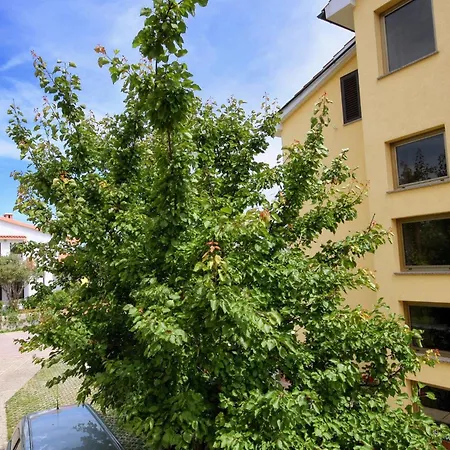 Διαμέρισμα For Families With Children Krk - 5396